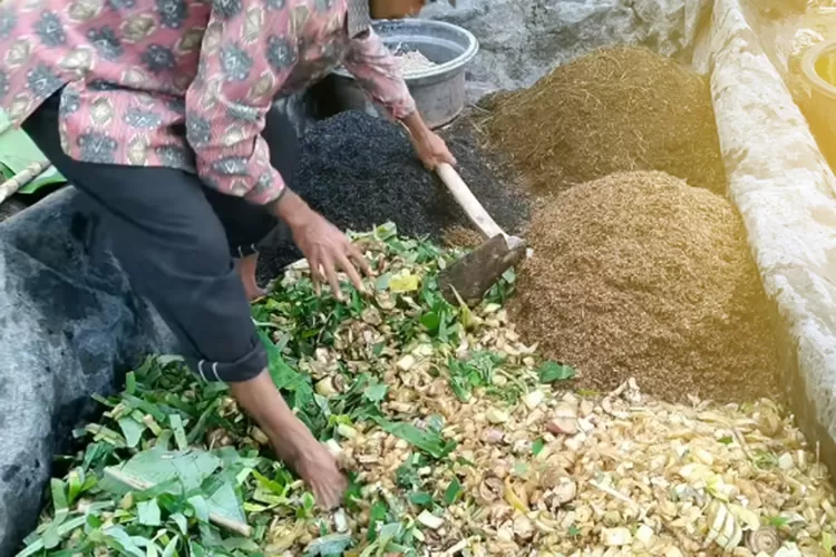 cara membuat kompos batang pisang