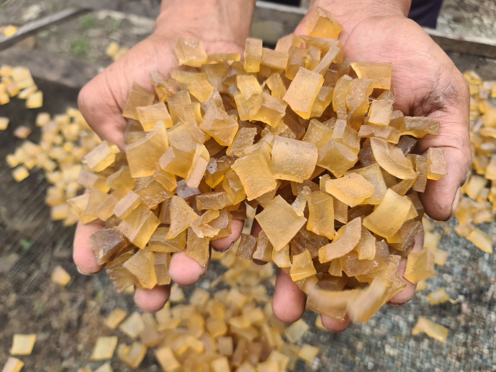 Tips dan Cara Potong Kulit Rambak agar Tidak Robek